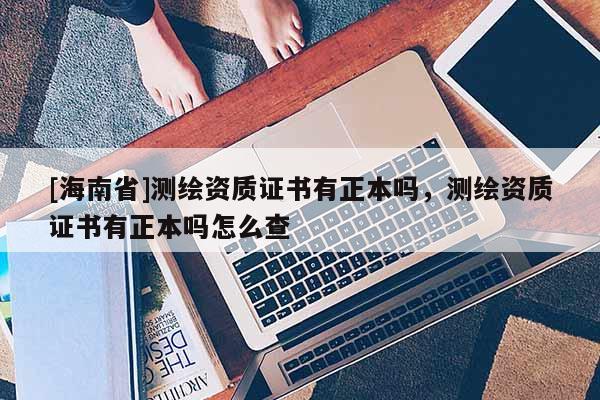 [海南省]測繪資質(zhì)證書有正本嗎，測繪資質(zhì)證書有正本嗎怎么查