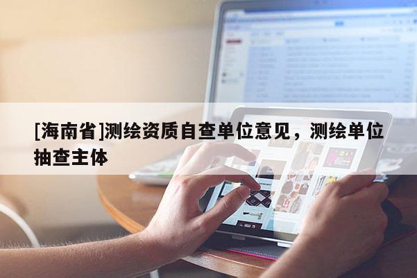 [海南省]測(cè)繪資質(zhì)自查單位意見(jiàn)，測(cè)繪單位抽查主體