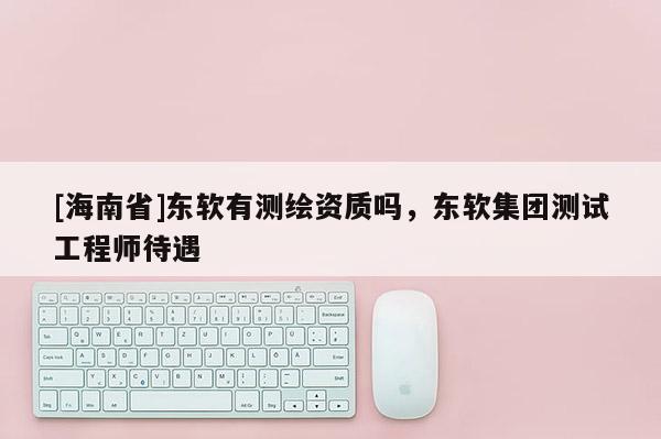 [海南省]東軟有測繪資質(zhì)嗎，東軟集團測試工程師待遇