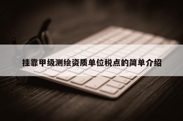 掛靠甲級(jí)測(cè)繪資質(zhì)單位稅點(diǎn)的簡(jiǎn)單介紹