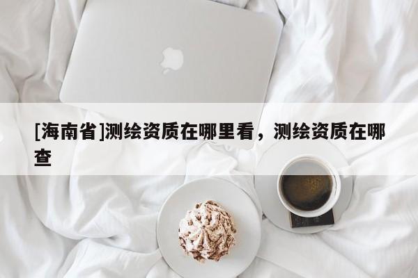 [海南省]測(cè)繪資質(zhì)在哪里看，測(cè)繪資質(zhì)在哪查